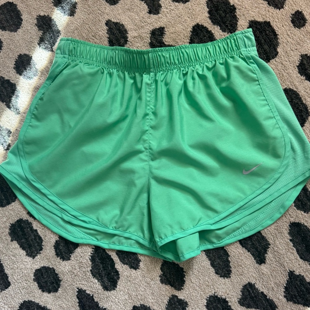 Nike Dry Temp Shorts